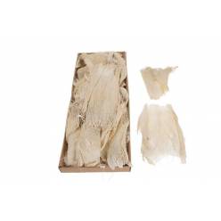 Corteza Palmera Blanca 400g