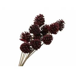 Pick Pias Naturales en Palo 50cm Rojas (10 uds)