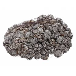 Malla Pias de Cipres Naturales Blancas 1kg