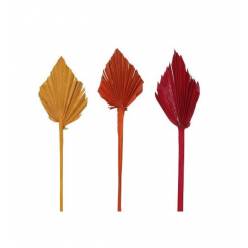 Palms Spear Seco Mini Mixto 3 Colores 20cm (100uds)