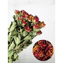 Ramificada Seca Fire Flash 50cm (5 Tallos)