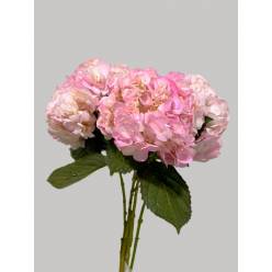 Hortensia Col. Tint. Rosa 60cm 16cm x5tall