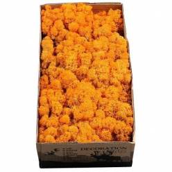 Caja Musgo Preservado Naranja 500g
