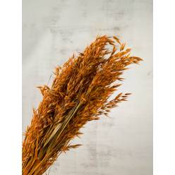 Avena Seca Natural Terracotta 70cm 150g