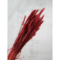 Trigo Seco Natural Rojo