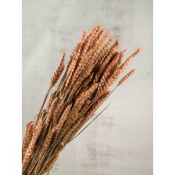 Trigo Seco Natural Rosa 70cm 200g