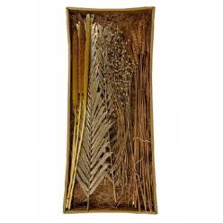 Bandeja Exotic Mix 6 6x26x59Hcm