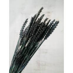 Trigo Seco Natural Negro 60cm 85g