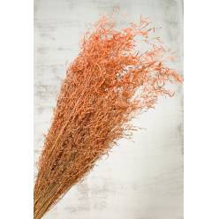 Munni Grass Nature Naranja 60cm 90g
