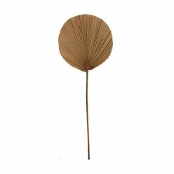 Hoja Palms Natural 30x90Hcm