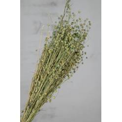 Lino Seco Verde 100g 60cm