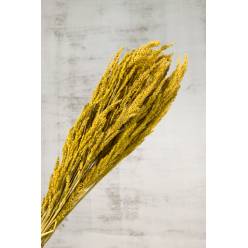 Wild Grass Seco Amarillo 75g 60cm