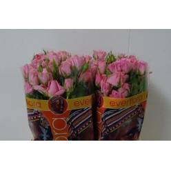 Ramificada Elieen 50cm