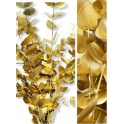 Eucalipto Cinerea Pintado "200gr" Oro