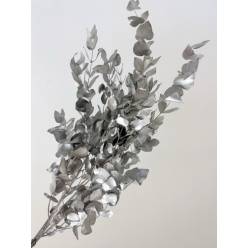 Eucalipto Cinerea Pintado "200gr" Plata Metal
