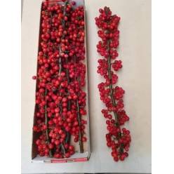 Malus Manzanitas Red Sentinel 90cm "CC5"