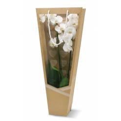 Bolsa Kraft Corazones XL 30/11x12/11x68cm  (x4uds)