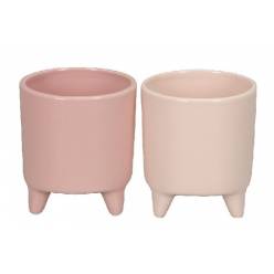 Maceta Ceramica Pies Rosa 8,5x9Hcm (Set 6uds)