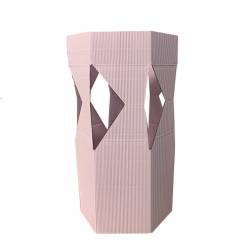 Caja Transporte Bouquet Rosa 13Ax25Hcm (x5uds)