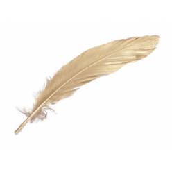 Plumas Ganso Oro (x12uds)