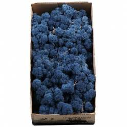 Caja Musgo Preservado Azul Oscuro 500g