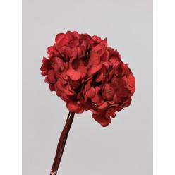 Hortensia Preservada Granate 20x30Hcm