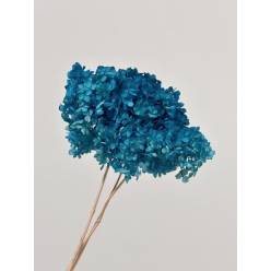 Hortensia Preservada Verde Aguamarina 20x30Hcm