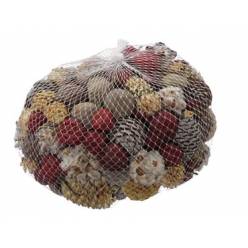 Malla Leuacadendron Mixto 500g