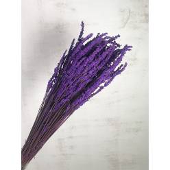Lavanda Preservada 50cm 150g