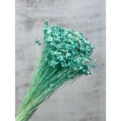 Glixia Seca Azul Claro 50cm 50g