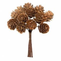 Ramillete Pias Natural 11Hcm (12 Tallos) "T12"