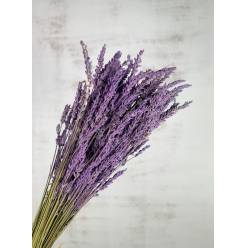 Lavanda Seca Pintada Purpura 50cm 150g
