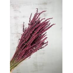 Lavanda Seca Pintada Rosa 150g