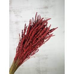 Lavanda Seca Pintada Roja 150g