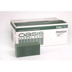 Esponja Floral Premium Pastilla (x20) Pack 3 cajas