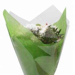 Funda Bouquet Elegant Verde 44Ax50Hcm (x25uds)