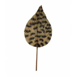Hoja Palms Guepardo Marron 40x100Hcm