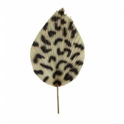 Hoja Palms Guepardo Natural 50x110Hcm