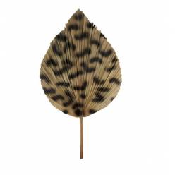 Hoja Palms Guepardo Marron 50x110Hcm