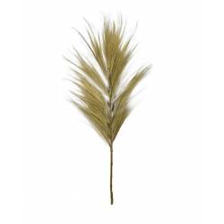 Plumas Grass Nature 38Ax158Hcm