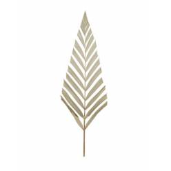 Hoja Flecha Natural 38x118Hcm