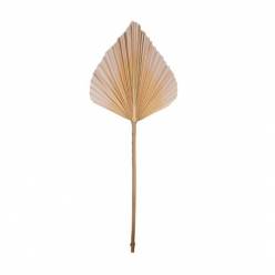 Hoja Palms Spear Grande Naranja 33x89Hcm