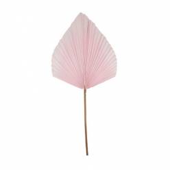 Hoja Palms Spear Grande Rosa 40x100Hcm