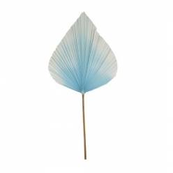 Hoja Palms Spear Grande Azul 40x100Hcm
