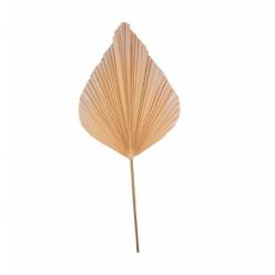 Hoja Palms Spear Grande Naranja 40x100Hcm