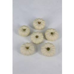 Calabazas Pepo baby Boo 06/08