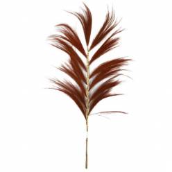 Plumas Grass Marron 38Ax158Hcm