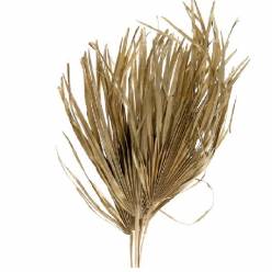 Hoja de Palmera Oro 75cm (5 Tallos)