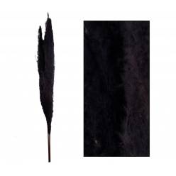 Plumas Pampa Jaxx Nature Seco Negro 100-115cm (3 Tallos)