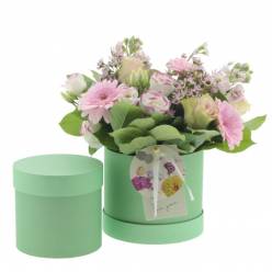 Sombrerera Basicall Verde 15x13Hcm